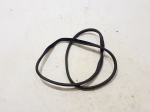   Rear side door seal on the door  - 83110-CV000 