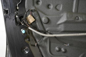 BMW X6 E71 (2008–2014) Front door - 5