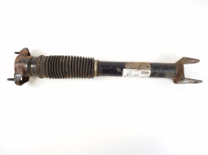 Stoßdämpfer hinten - A1663262300