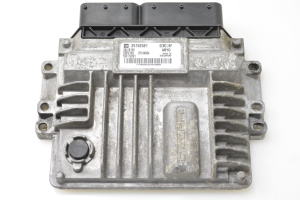 Engine control unit - 25192581