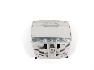 Front interior lighting panel - A0009009007