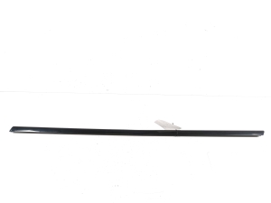 Rear side door outer window molding - 