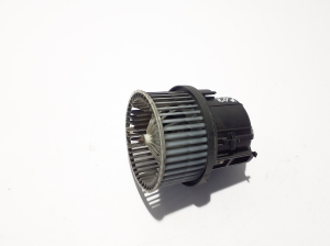   Salona plecu motors 