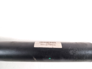 Citroen C4 X C43 (2021–2026) Stoßdämpfer hinten 9841379480 - 3