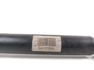 Citroen C4 X C43 (2021–2026) Rear shock absorber 9841379480 - 3