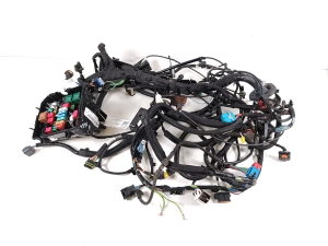   Engine wiring harness  - 9854359480 