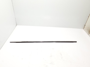   Rear side door outer window molding  - 828203852R 