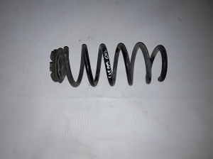 Dacia JOGGER I (2021–2026) Rear spring - 2