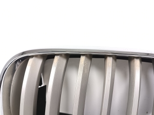 BMW X5 E70 (2006–2013) Front grille 7185223 - 2
