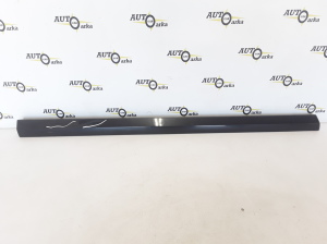 Front door molding - 30791065