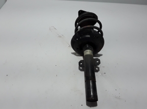   Stoßdämpfer vorne  - 543027894R 