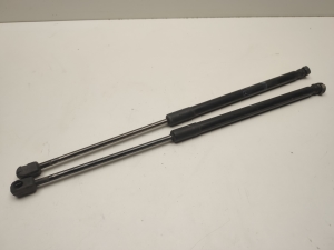   Trunk lid shock absorber 