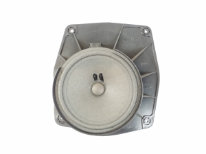   Front door speaker 