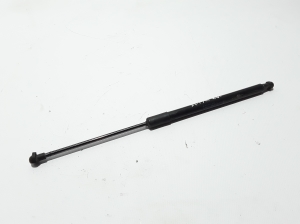   Trunk lid shock absorber 