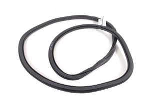 Citroen C4 C41 (2020–2026) Front door rubber seal - 2