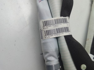 Citroen C4 Cactus (2014–2026) Dachairbag 9804358980 - 3
