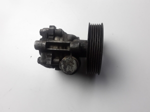 Mitsubishi Grandis (2003–2011) Servopumpe