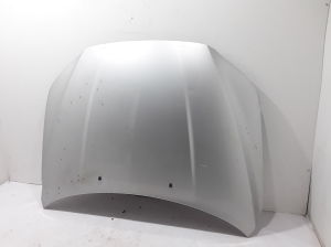 Motorhaube - 31371418