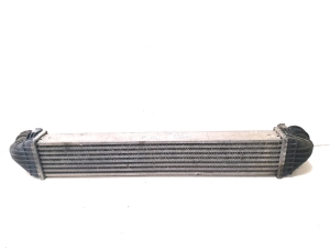 Mercedes Benz A-Class 169 (2004–2012) Intercooler A1695000000 - 2