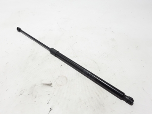   Trunk lid strut  - 9841148980 