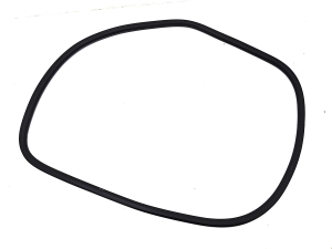   Front door rubber seal  - 9823214980 