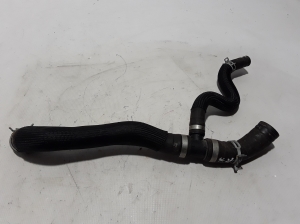 Durite de radiateur de refroidissement - 215032064R