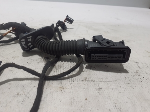CUPRA Formentor I (2020–2026) Juhtmestik 5FA971161H - 2