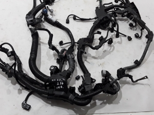 LEXUS NX H20 (2021–2026) Engine wiring harness 82121F6070 - 4