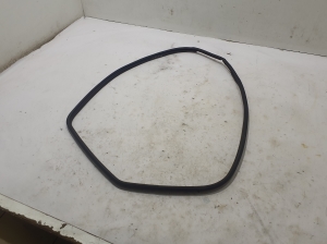  Rear side door seal on the door  - 62331F6010 