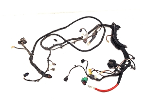   Motorkabelbaum  - 1EA971658 