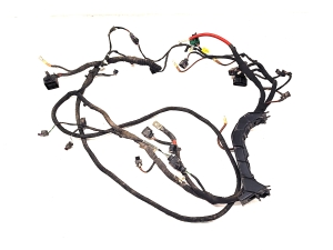 Skoda Enyaq iV I (2020–2026) Engine wiring harness 1EA971658 - 4