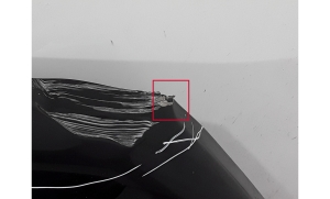 LEXUS NX H20 (2021–2026) Hood 53301F6010 - 2