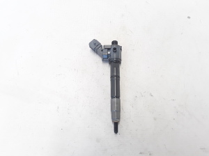   Fuel injector 