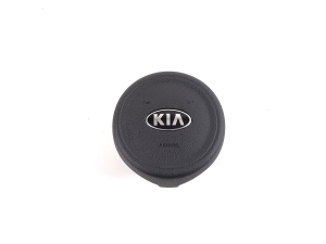 Steering wheel airbag - 56900-G5100