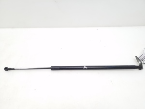 Trunk lid strut - 904509U00A