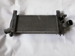 NISSAN Navara (2005–2015) Ladeluftkühler 14461EB360 - 2