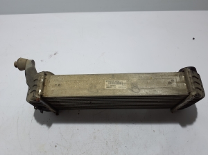 Mercedes Benz Citan 415 (2012–2021) Vahejahuti radiaator 144963234R - 2