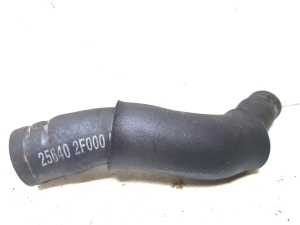 Hyundai Santa Fe (2018–2026) Schlauch 256402F000 - 4