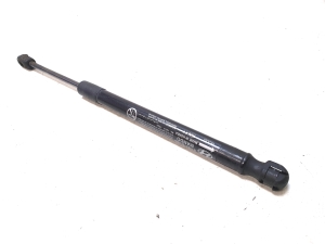 Hyundai Santa Fe (2018–2026) Hood prop/gas strut 81161S1000 - 2