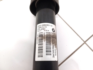 BMW X1 F48 (2015–2022) Stoßdämpfer hinten 6882851 - 3