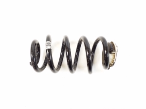 Rear spring - 6880421