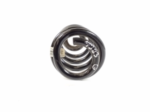 Mini Countryman F60 (2016–2026) Rear spring 6880421 - 4