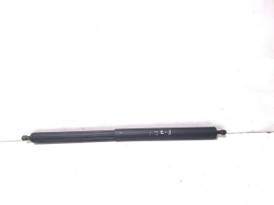 Trunk lid strut - 5964ZL