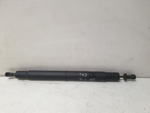 Heckklappendämpfer