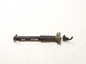   Stoßdämpfer hinten  - 4M0513021BB 