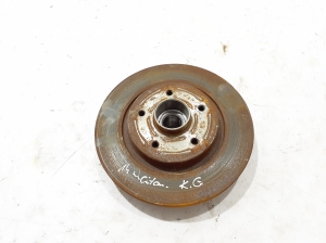 Rear brake disc - 402024076R
