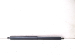 Trunk lid strut - 5964ZL