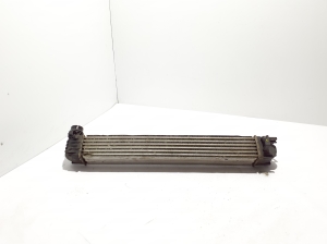RENAULT Megane III (2008–2016) Vahejahuti radiaator 144963639R - 3