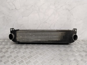 Vahejahuti radiaator - PML500031