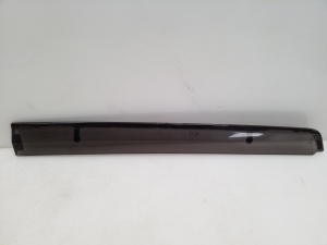 Rear side door outer window molding - 
